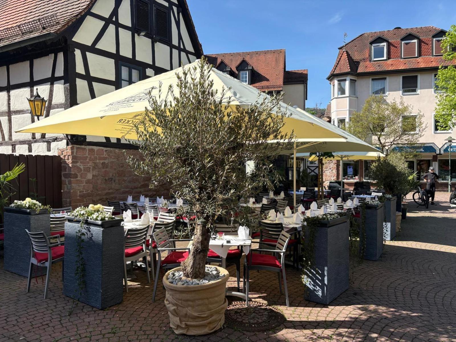 Hotel Restaurant Altes Badhaus Eberbach  Εξωτερικό φωτογραφία
